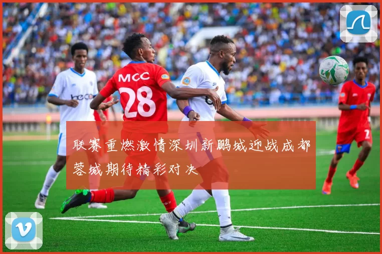 联赛重燃激情深圳新鹏城迎战成都蓉城期待精彩对决